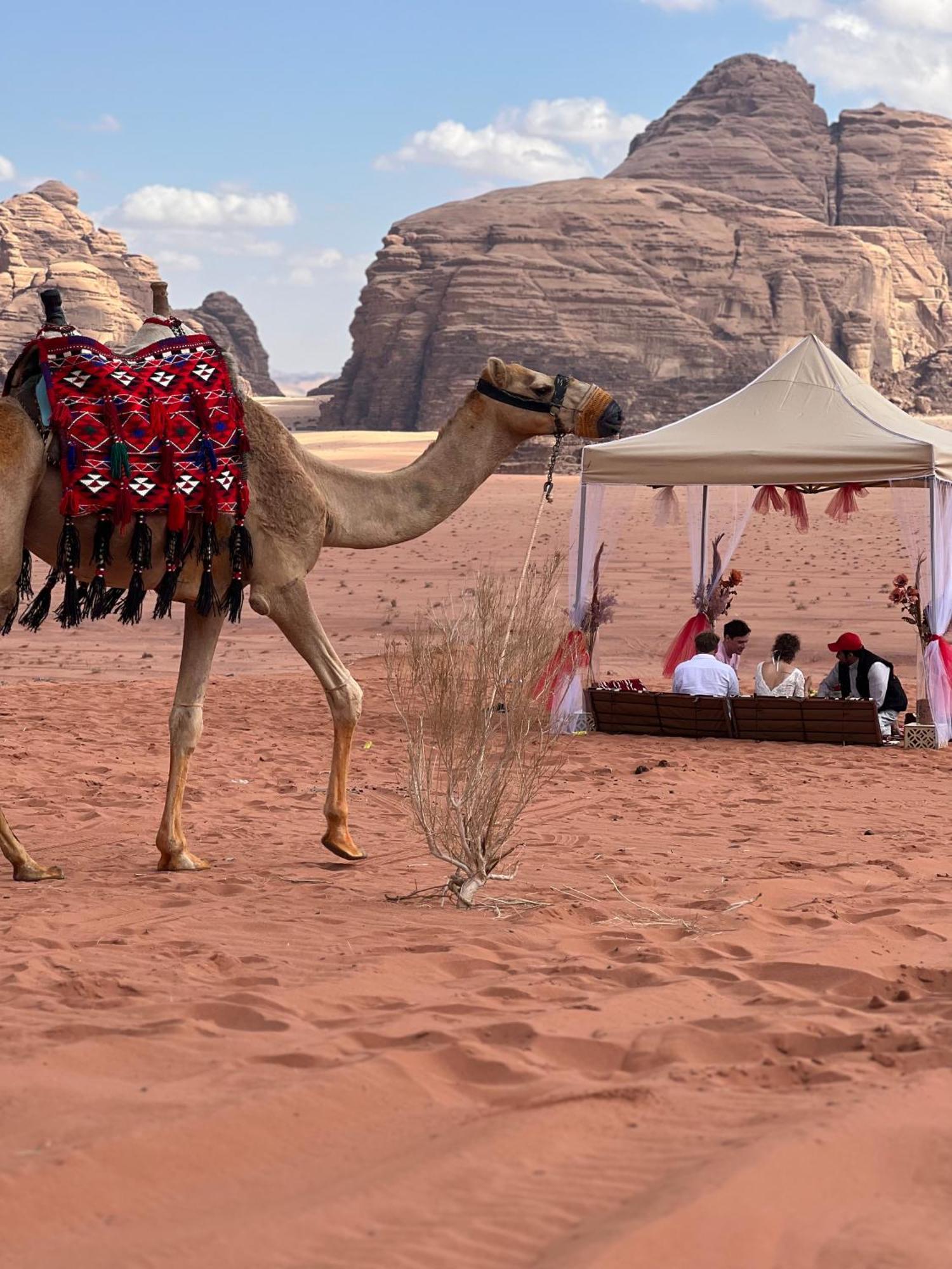Moon Magic Valley Daire Ram Vadisi Dış mekan fotoğraf