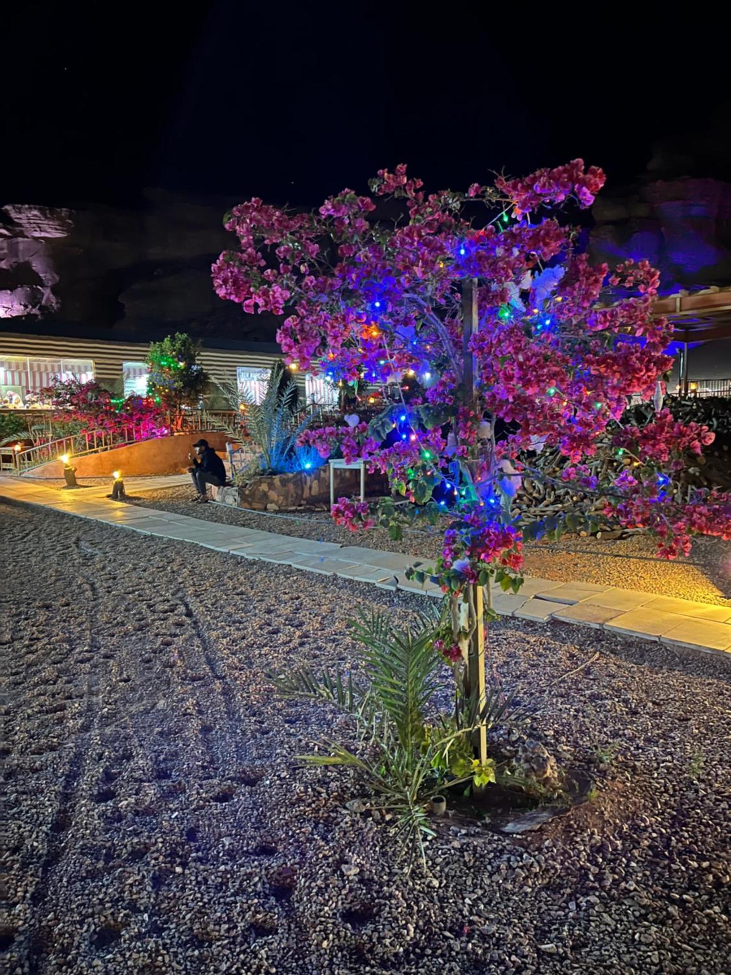 Moon Magic Valley Daire Ram Vadisi Dış mekan fotoğraf